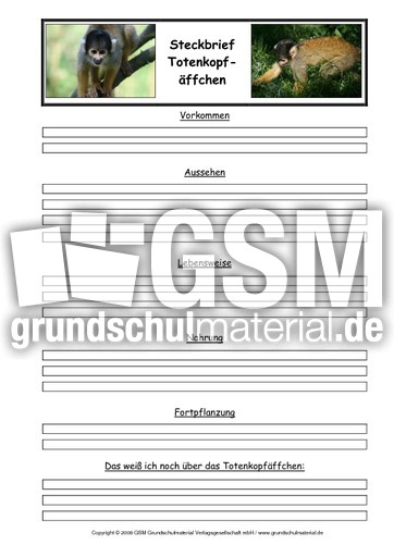 Totenkopfäffchen-Steckbriefvorlage.pdf